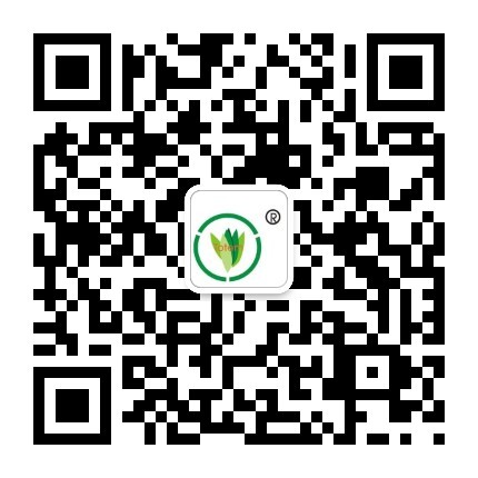 &#20048;&#25237;&#32593;&#39029;&#29256;&#45;&#20048;&#25237;&#65288;&#20013;&#22269;&#65289;